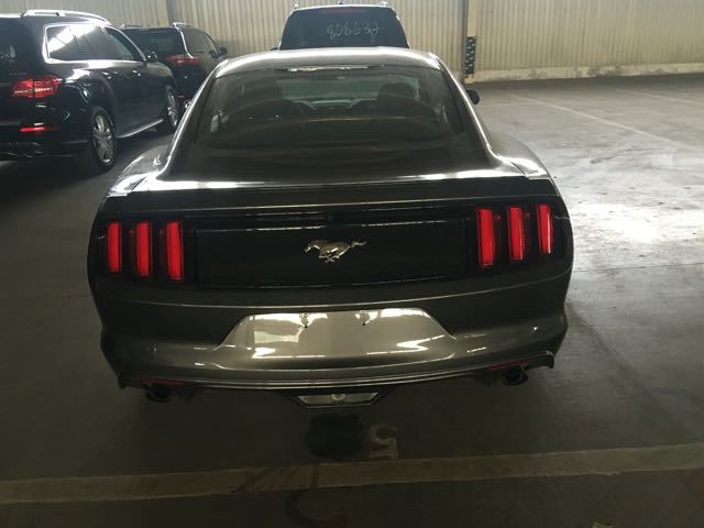 632a2172d21530e6.jpg