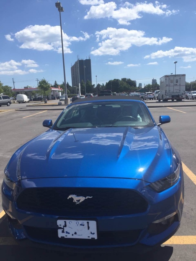 f9048019145ce621.jpg