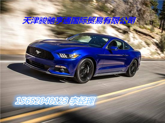 7aa8e0413ed2e0cc.jpg