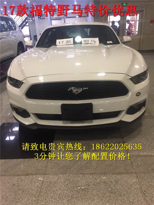 a3639209e69d696c.jpg