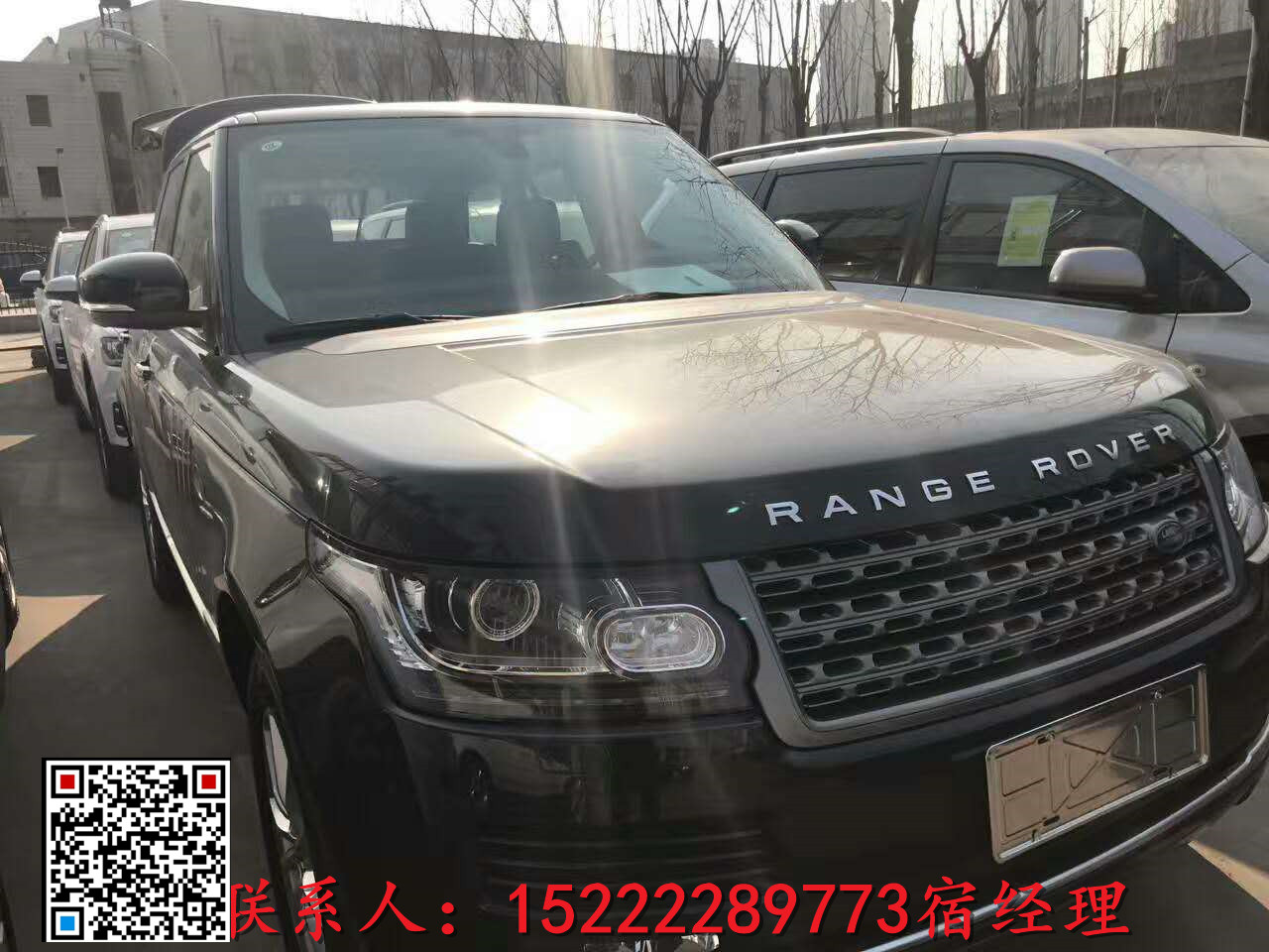 d6bb03539a81ef46.jpg