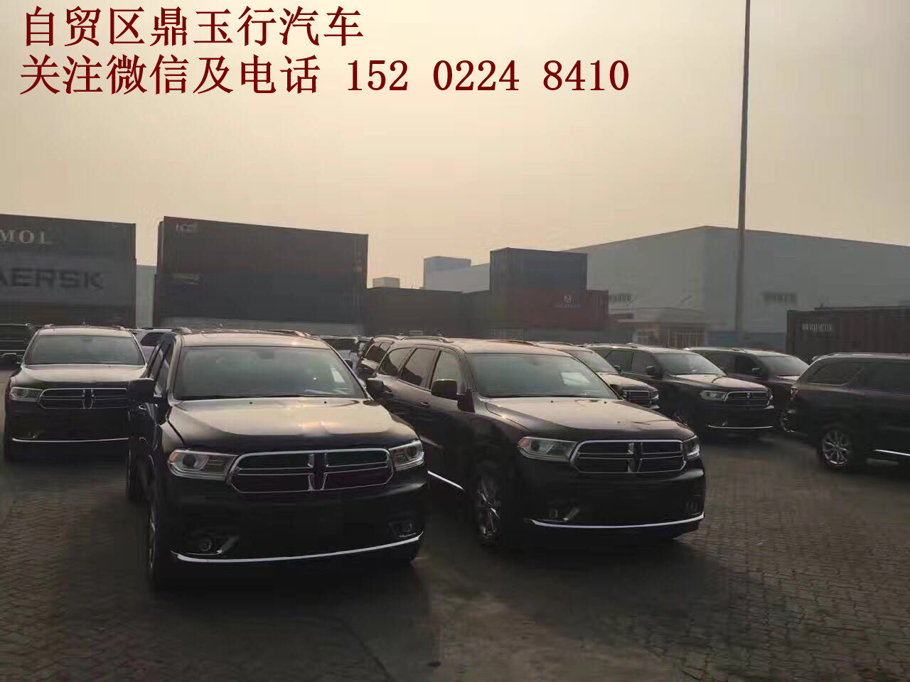de081d52caaffe8a.jpg