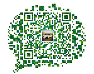 7836c619c9d45816.jpg
