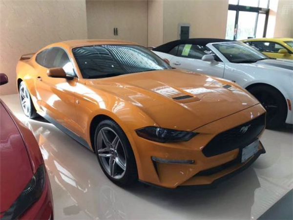 福特野马销售电话：13389982878刘经理