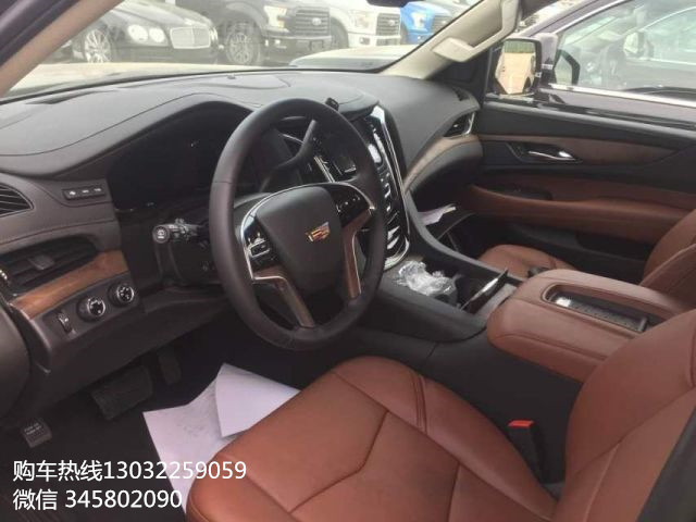9913f1ab1d279d46.jpg