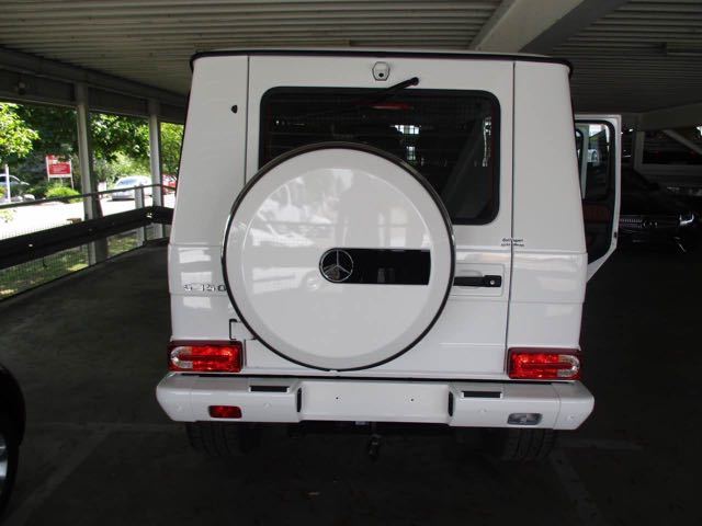 35009dbd66538da6.jpg