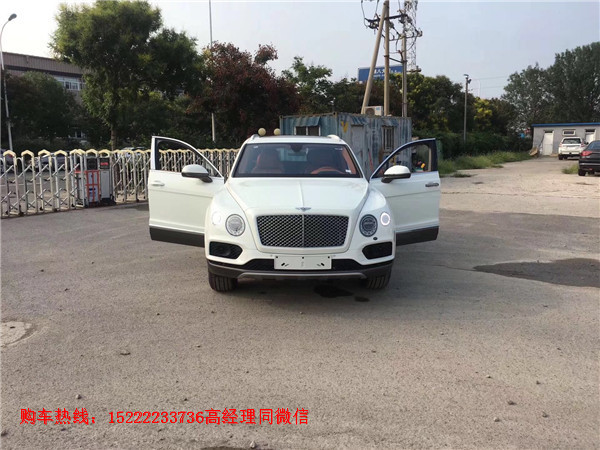 72aaa6960cd92ea3.jpg