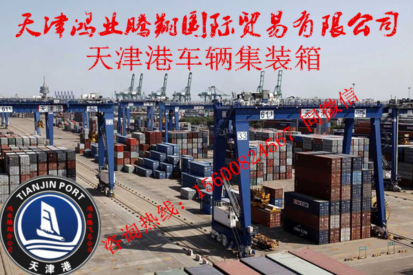 80e7a8c9718f3cd6.jpg
