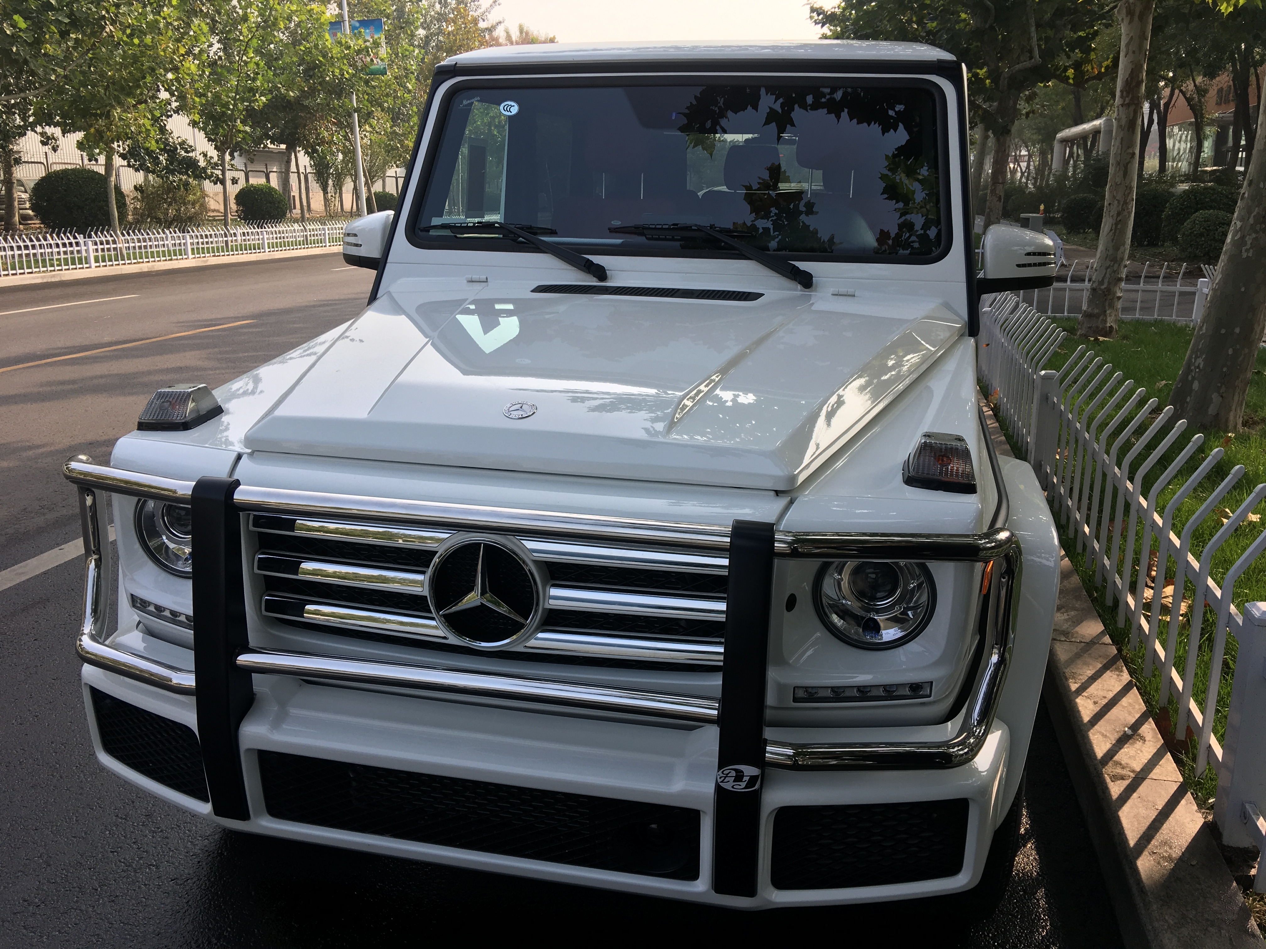 a45fc161e5d69508.jpg