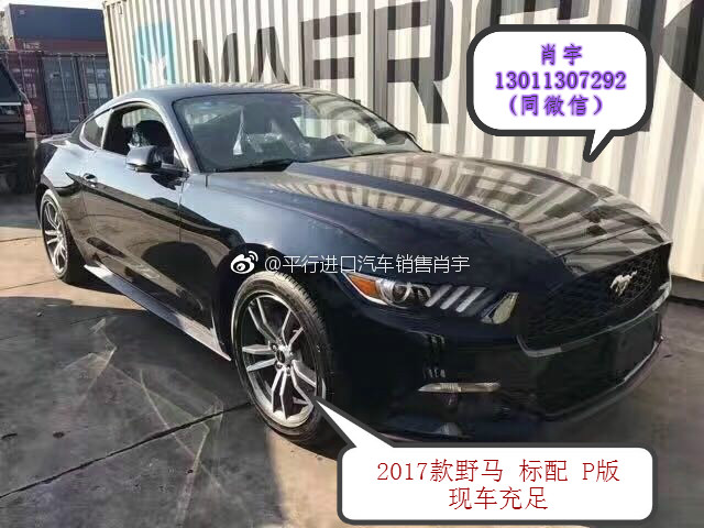 f03517c84bf8c4cd.jpg