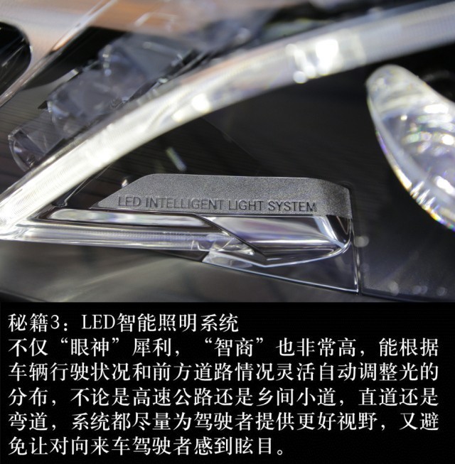 545962b3c2a7ff90.jpg