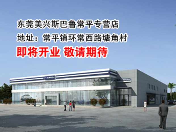 美兴镇人口_人口普查(2)