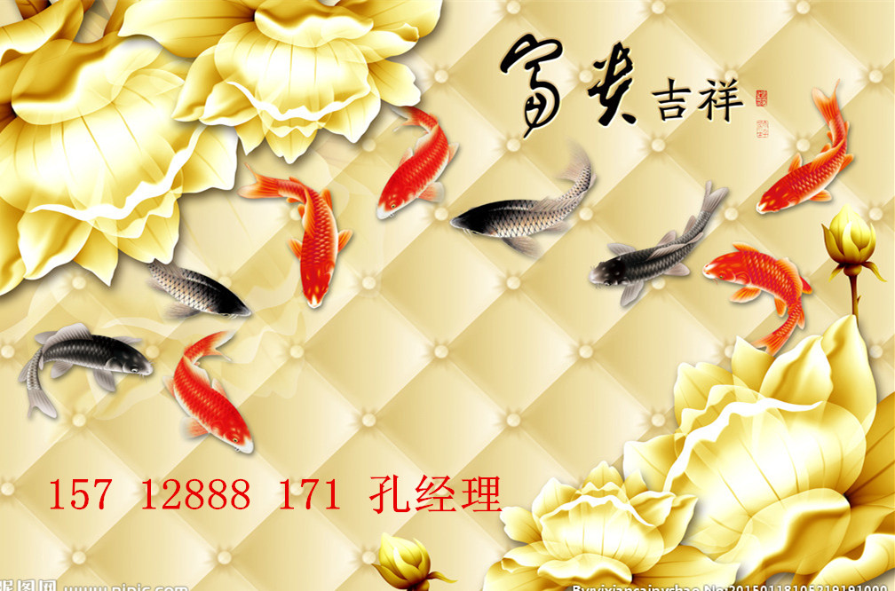 a1536e9ae2f17e0f.jpg