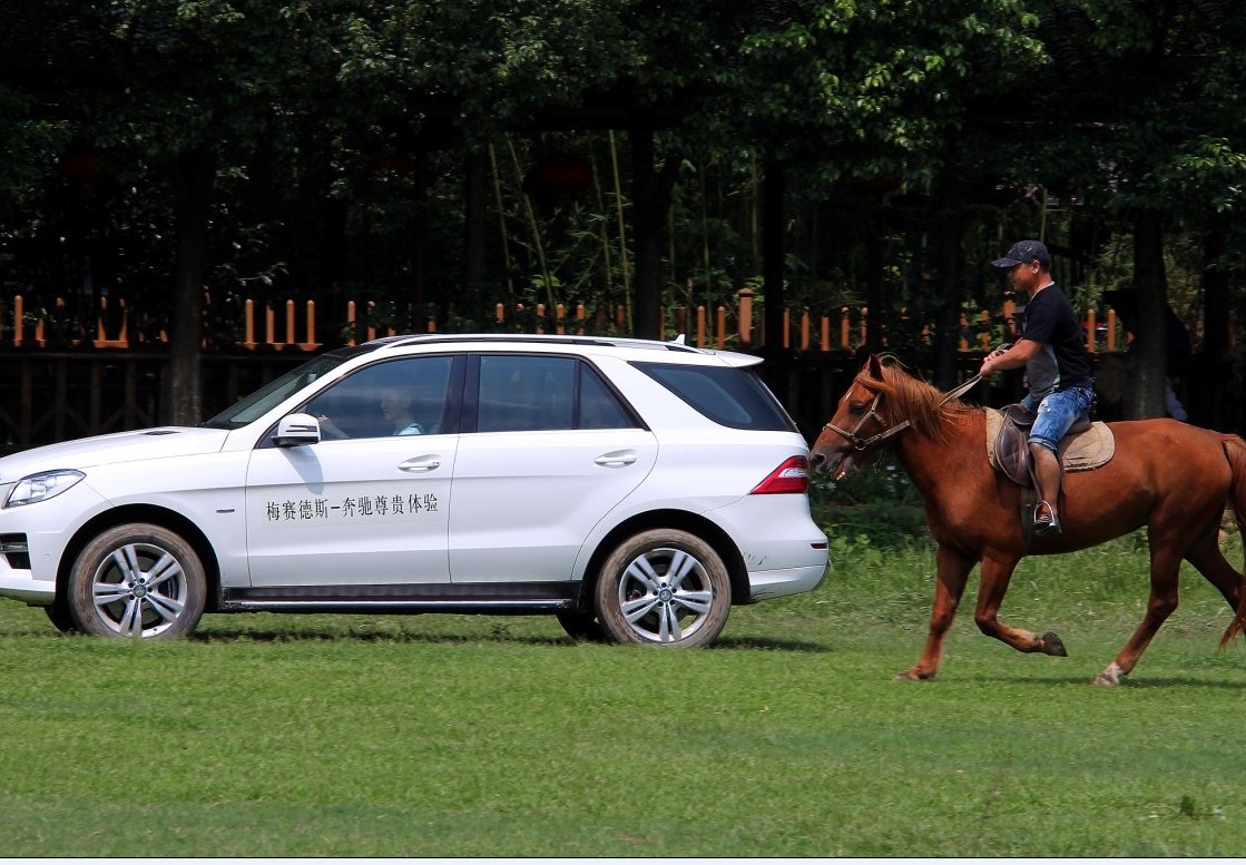【之信奔驰-感受双溪绿色生态文化之旅-浙江之