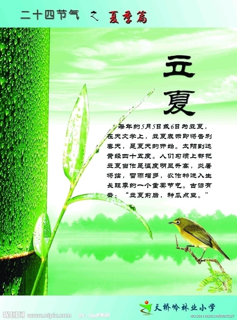 29d5c0d4fd81d933.jpg