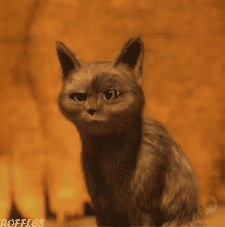 01e8441481272c6d.gif