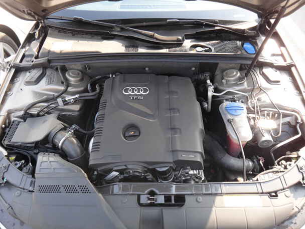 6f26175732c254ab.jpg
