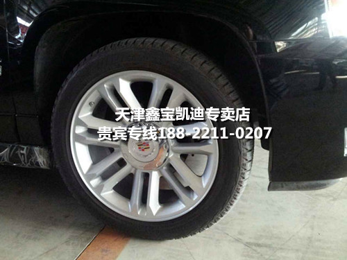 ac2cee7255cd09a8.jpg