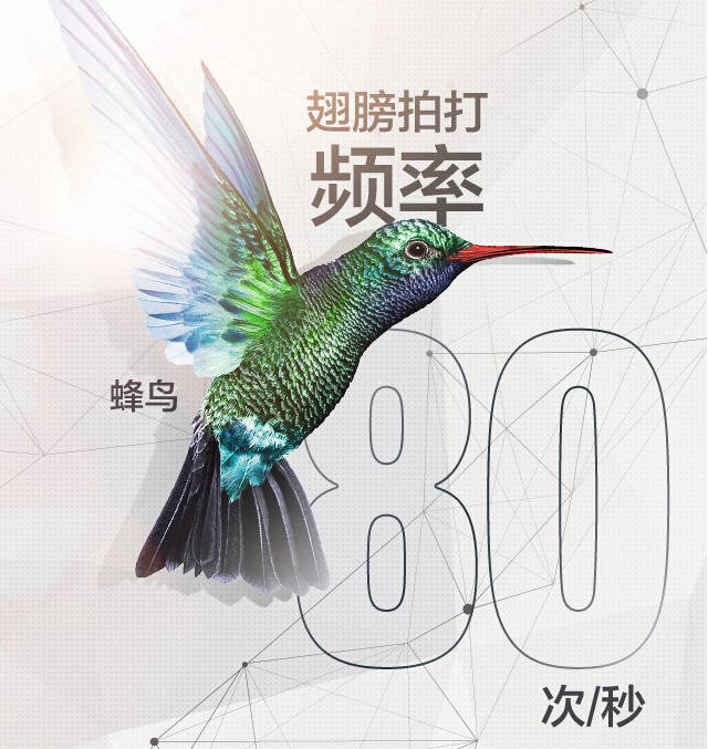 e184f16bc53eefd4.jpg