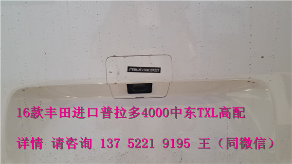 【越野SUV进口中东版 普拉多4000TXL高配_路