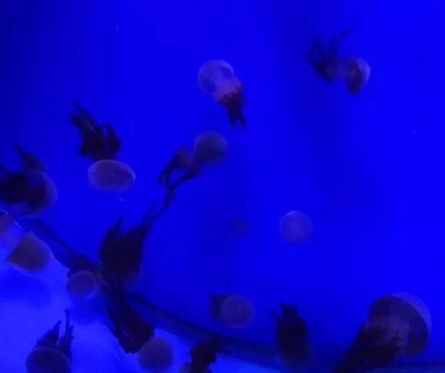 8e87f575f4b7db03.jpg