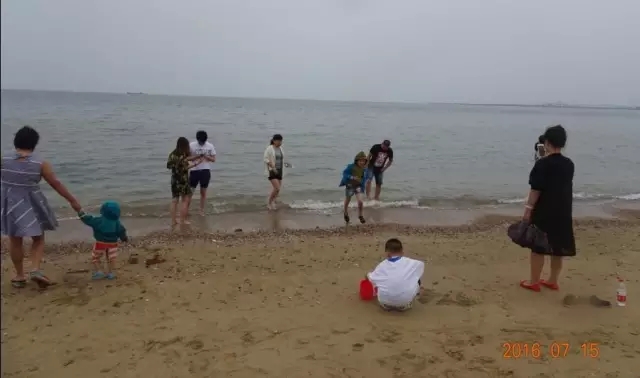 d53f49fc3d204a93.jpg