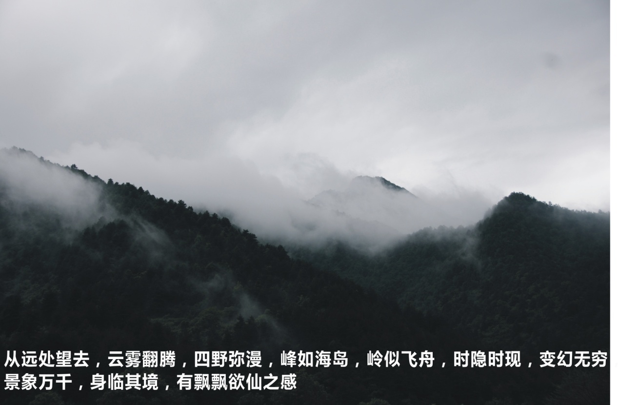 0cecc46b80267b37.jpg