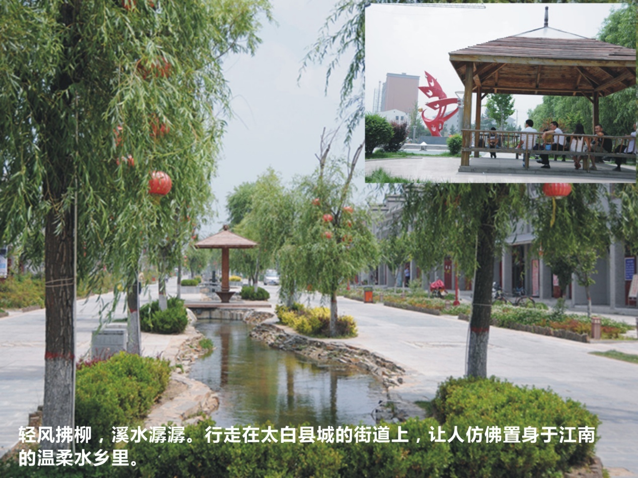 13a47635d72f36ad.jpg