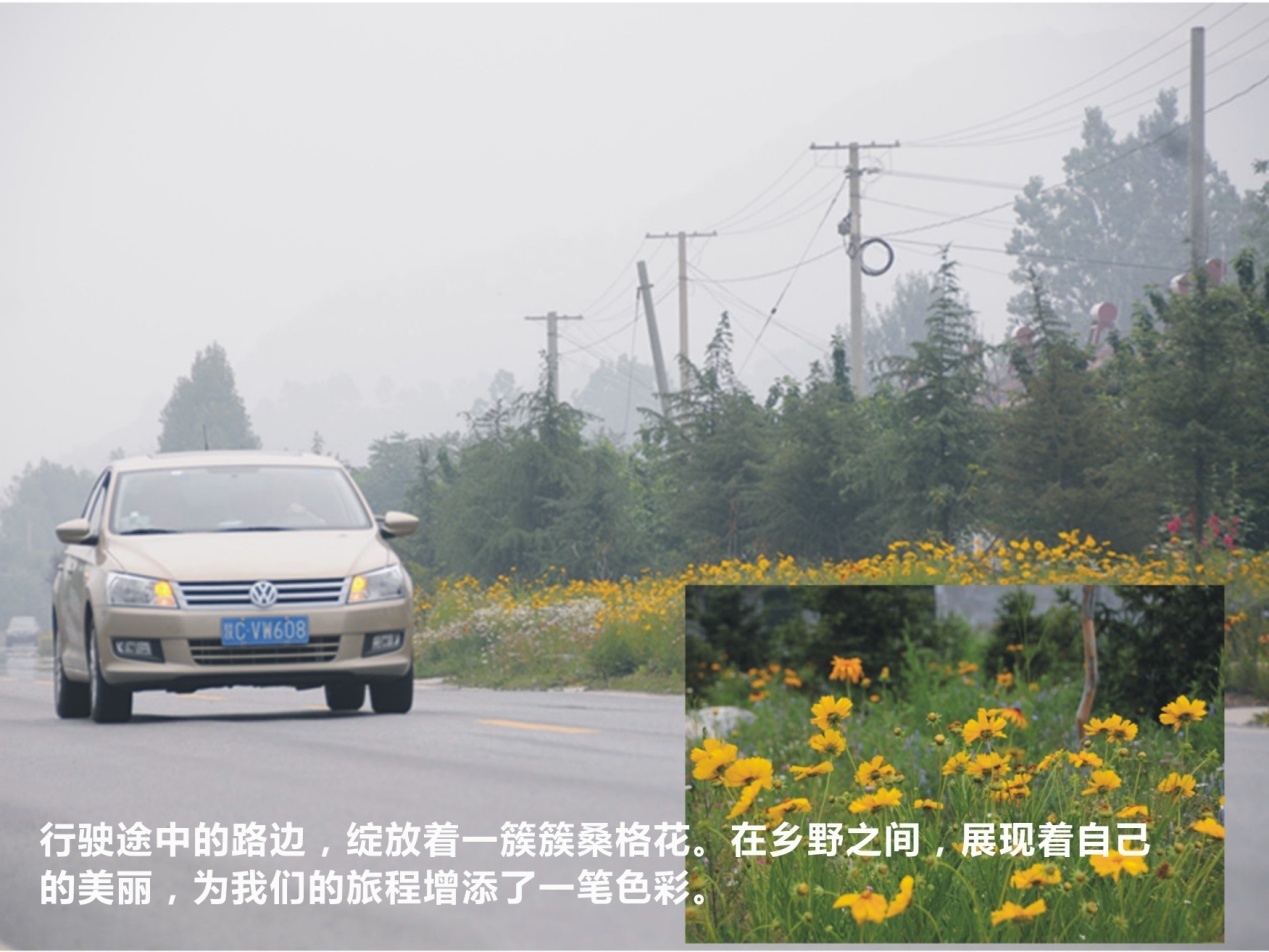 f7682912e9003b1a.jpg