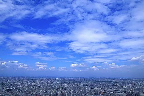 b014961f9deab922.jpg