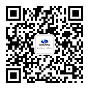 cd3365e97350e440.jpg
