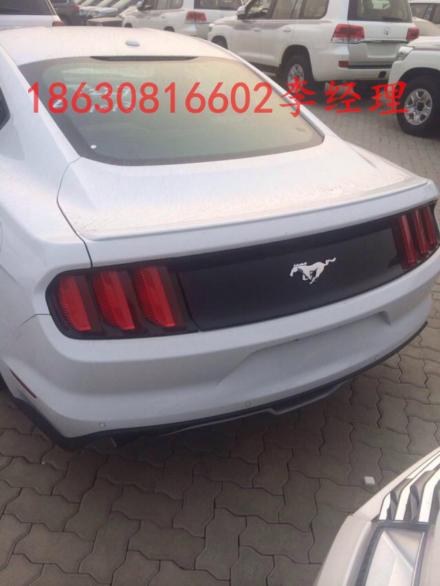 4348576bdecd3117.jpg