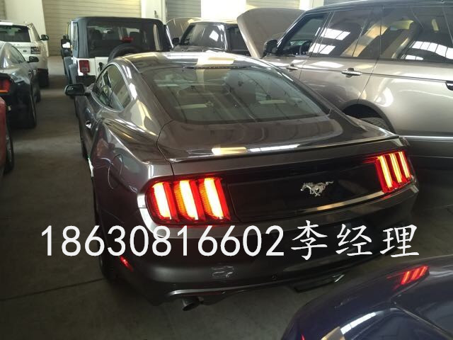 8a7ef13e6df68296.jpg