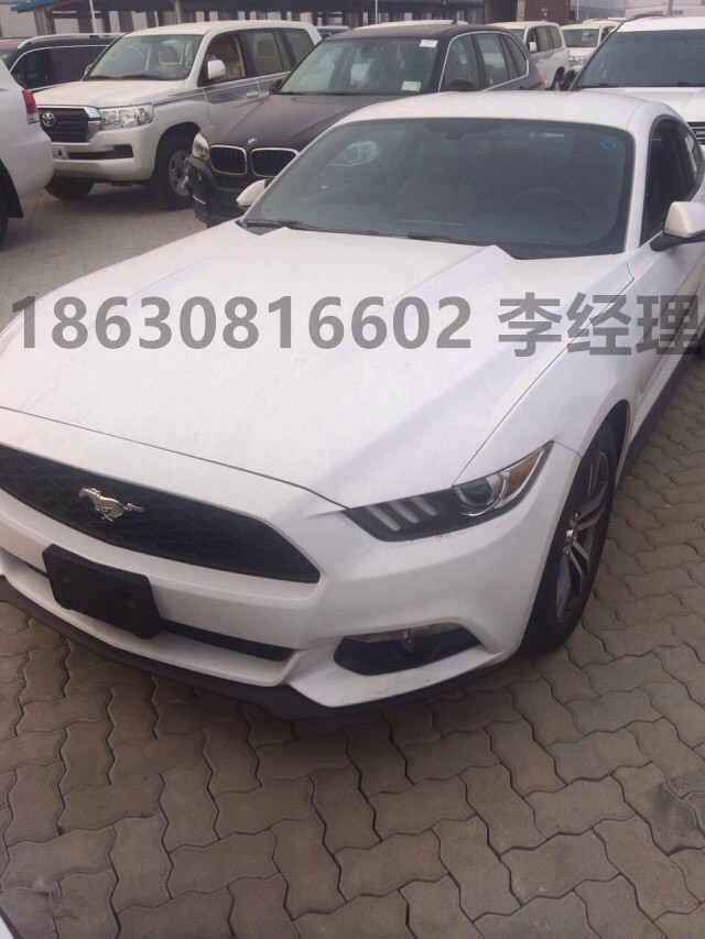 b10e6823799ea558.jpg