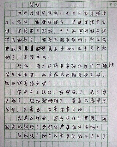 关于理想和未来的作文