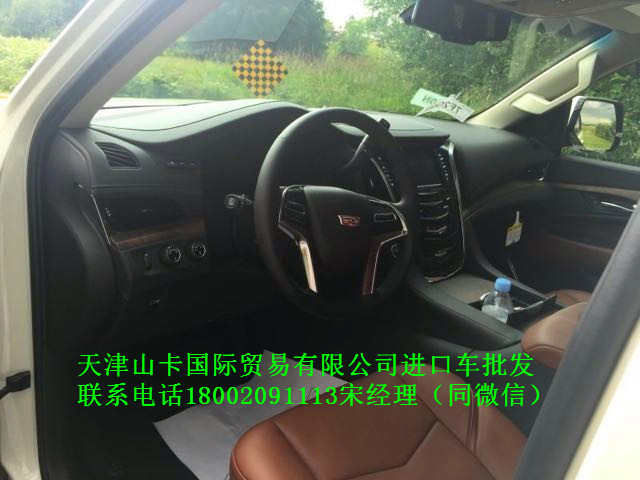 00f376930efd9bb5.jpg