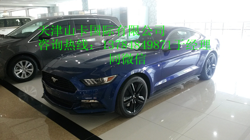 c3d246de4e2cb177.jpg