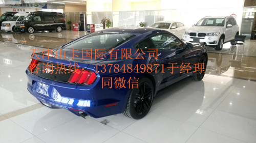 d0499c1e083fa3f6.jpg