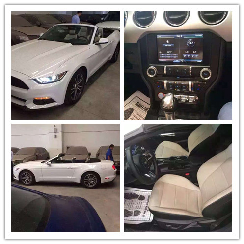 1723ef8d825cdbc9.jpg