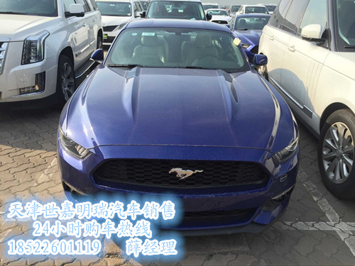 7aecc72bf1b06816.jpg