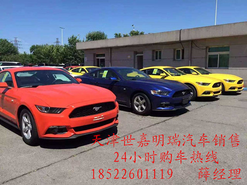 cf64072fa8048e3c.jpg