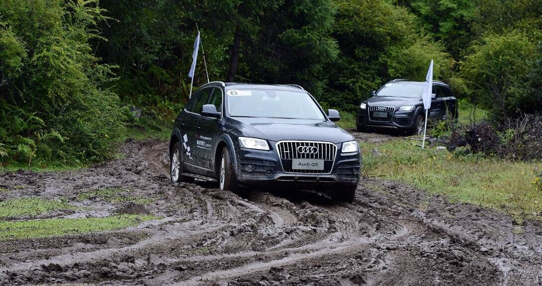d190145c74f77003.jpg