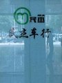 王菲