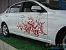 IMG_1193.jpg