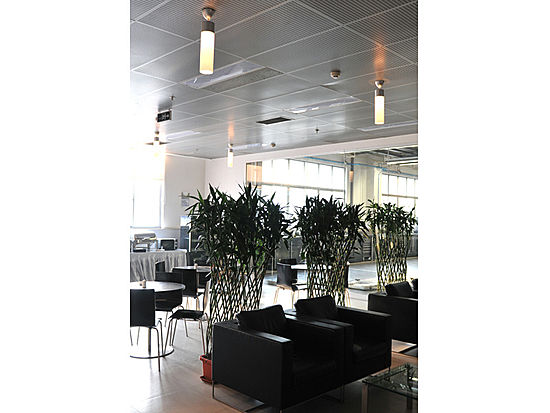 ba48023ebaed12a4.jpg