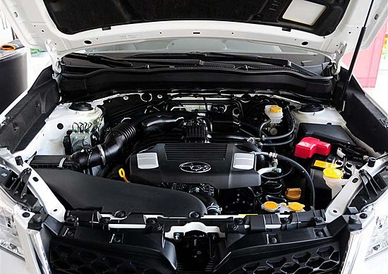 09416d10576c9391.jpg