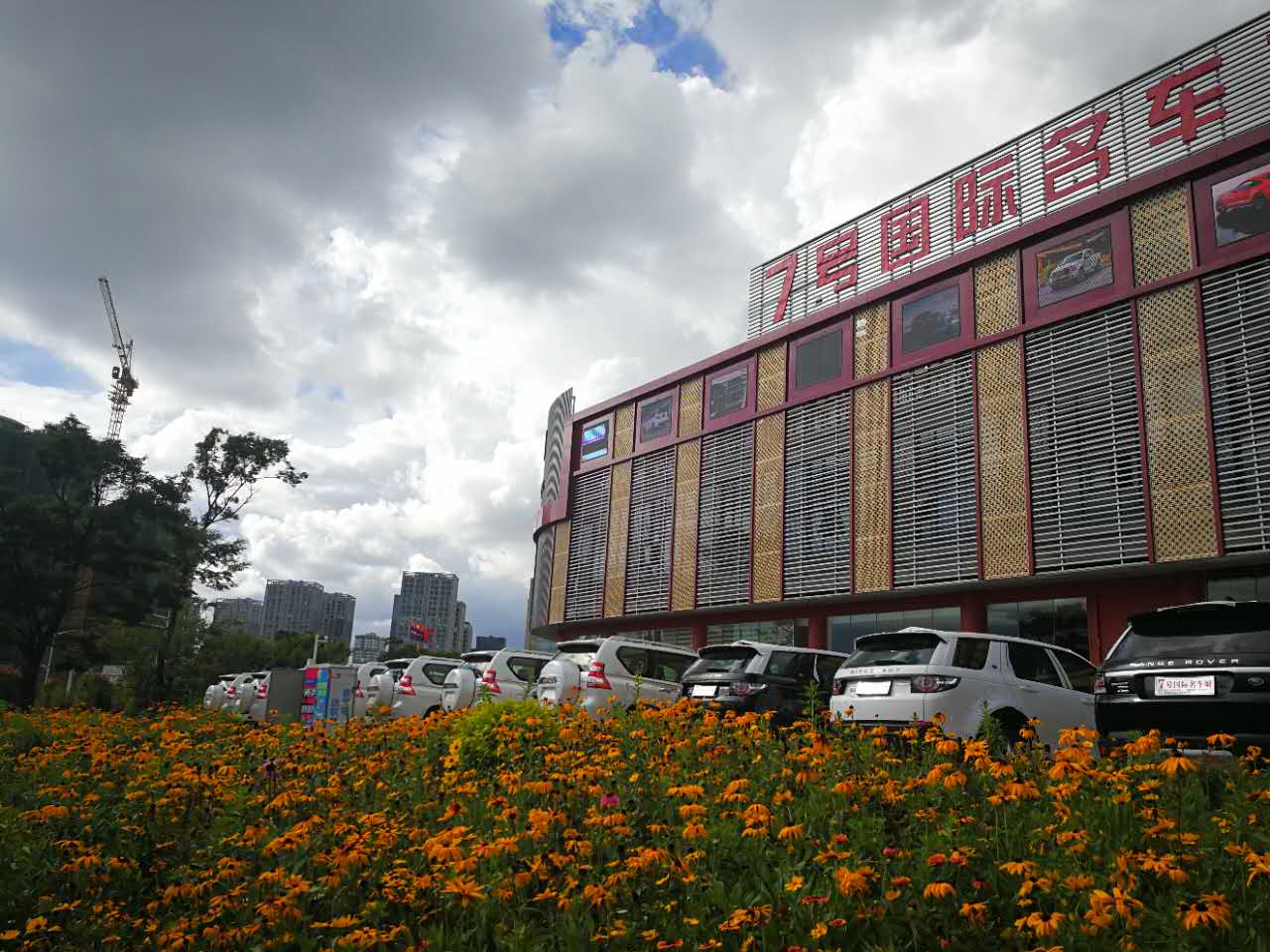 云南七十七号国际贸易有限公司