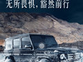 17710110991（同微信）