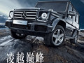 17710110991（同微信）