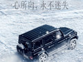 17710110991（同微信）